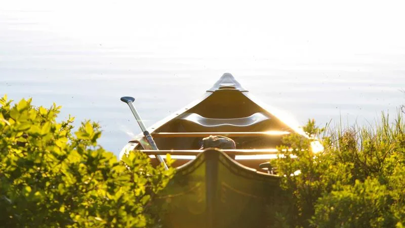 Immersive theatre and experiential performance