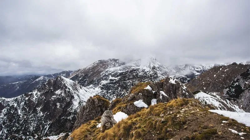 Independent record store vinyl collection