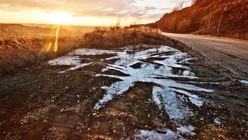 Birth chart rising sign astrology